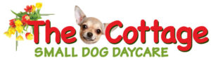 The Cottage Small Dog Daycare